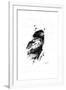 Inked Eagle-James Grey-Framed Art Print