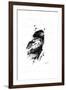 Inked Eagle-James Grey-Framed Art Print