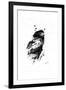 Inked Eagle-James Grey-Framed Art Print