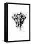 Inked Elephant-James Grey-Framed Stretched Canvas