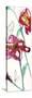 Inked Floral II-Jennifer Goldberger-Stretched Canvas