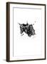 Inked Frog-James Grey-Framed Art Print