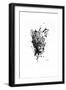 Inked Leopard-James Grey-Framed Art Print