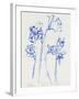 Inky Daffodils I-Jennifer Parker-Framed Art Print