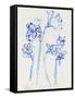 Inky Daffodils I-Jennifer Parker-Framed Stretched Canvas