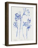 Inky Daffodils I-Jennifer Parker-Framed Art Print