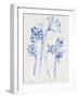 Inky Daffodils I-Jennifer Parker-Framed Art Print