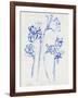 Inky Daffodils I-Jennifer Parker-Framed Art Print