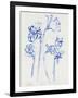 Inky Daffodils I-Jennifer Parker-Framed Art Print