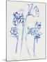 Inky Daffodils I-Jennifer Parker-Mounted Art Print