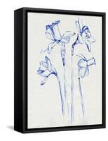 Inky Daffodils II-Jennifer Parker-Framed Stretched Canvas
