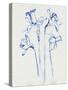 Inky Daffodils II-Jennifer Parker-Stretched Canvas