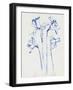 Inky Daffodils II-Jennifer Parker-Framed Art Print