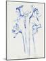 Inky Daffodils II-Jennifer Parker-Mounted Art Print