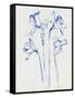 Inky Daffodils II-Jennifer Parker-Framed Stretched Canvas