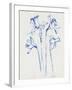 Inky Daffodils II-Jennifer Parker-Framed Art Print