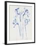 Inky Daffodils II-Jennifer Parker-Framed Art Print