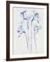 Inky Daffodils II-Jennifer Parker-Framed Art Print