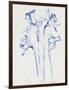 Inky Daffodils II-Jennifer Parker-Framed Art Print