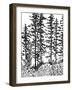 Inky Forest-Sandra Jacobs-Framed Giclee Print