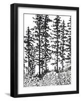 Inky Forest-Sandra Jacobs-Framed Giclee Print