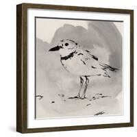 Inky Plover II-Jacob Green-Framed Art Print