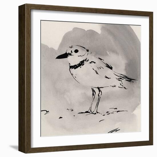 Inky Plover II-Jacob Green-Framed Art Print