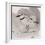 Inky Plover II-Jacob Green-Framed Art Print