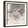 Inky Plover III-Jacob Green-Framed Art Print