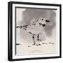 Inky Plover III-Jacob Green-Framed Art Print