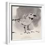 Inky Plover III-Jacob Green-Framed Art Print