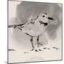 Inky Plover III-Jacob Green-Mounted Art Print