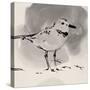 Inky Plover III-Jacob Green-Stretched Canvas