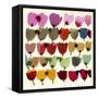 INKY TULIPS-Jenny Frean-Framed Stretched Canvas