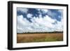 Inland Florida-Robert Michaud-Framed Giclee Print