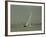 Inland Yachting, Midwest-Charles E^ Steinheimer-Framed Photographic Print