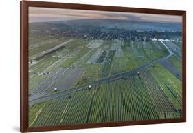 Inle Lake, Shan State, Myanmar (Burma), Asia-Janette Hill-Framed Photographic Print