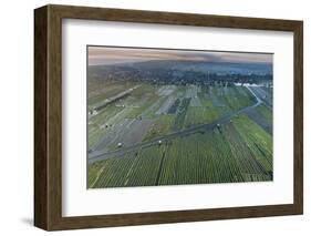 Inle Lake, Shan State, Myanmar (Burma), Asia-Janette Hill-Framed Photographic Print