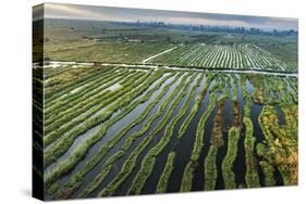 Inle Lake, Shan State, Myanmar (Burma), Asia-Janette Hill-Stretched Canvas