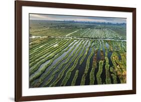 Inle Lake, Shan State, Myanmar (Burma), Asia-Janette Hill-Framed Photographic Print