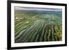 Inle Lake, Shan State, Myanmar (Burma), Asia-Janette Hill-Framed Photographic Print