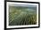 Inle Lake, Shan State, Myanmar (Burma), Asia-Janette Hill-Framed Photographic Print