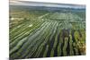 Inle Lake, Shan State, Myanmar (Burma), Asia-Janette Hill-Mounted Photographic Print