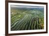 Inle Lake, Shan State, Myanmar (Burma), Asia-Janette Hill-Framed Photographic Print