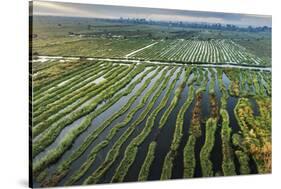 Inle Lake, Shan State, Myanmar (Burma), Asia-Janette Hill-Stretched Canvas