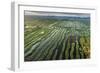 Inle Lake, Shan State, Myanmar (Burma), Asia-Janette Hill-Framed Photographic Print