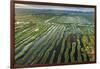 Inle Lake, Shan State, Myanmar (Burma), Asia-Janette Hill-Framed Photographic Print