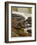 Inlet Mist over Rushing Stream, New York, Usa-Jay O'brien-Framed Photographic Print