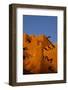 Inn at the Loretto, Santa Fe, New Mexico. USA-Julien McRoberts-Framed Photographic Print