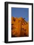 Inn at the Loretto, Santa Fe, New Mexico. USA-Julien McRoberts-Framed Photographic Print